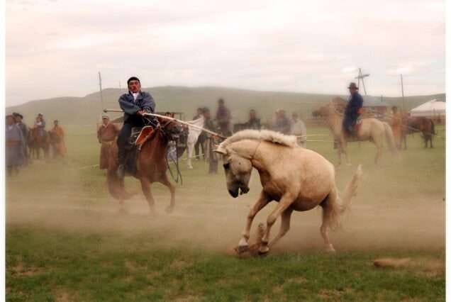 (Join-in) Steppe Symphony - Mongolian Horse Festival tour